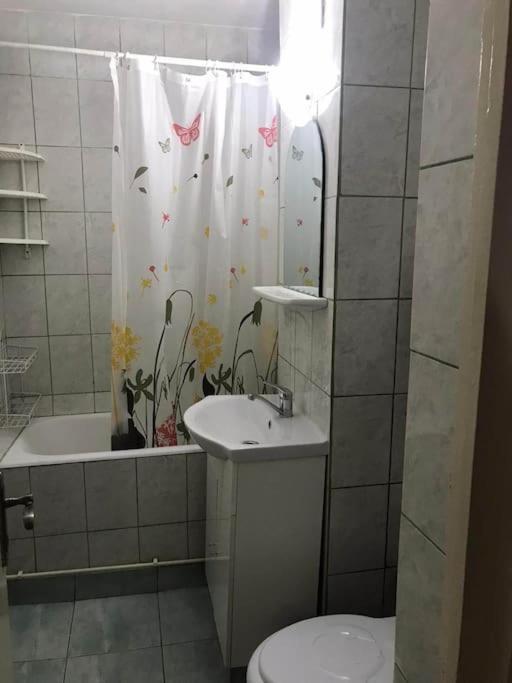 Apartament Confortabil ปีเตช ภายนอก รูปภาพ
